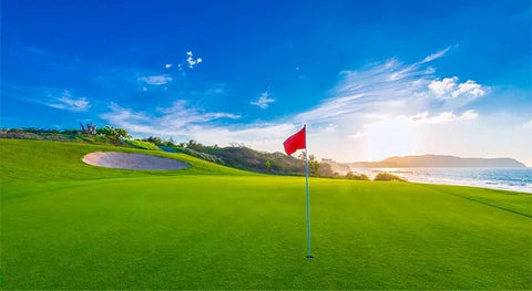 Dedicated Golf Mode for Life-Like Visuals